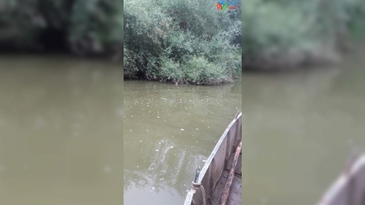 Dört gündür kayıp olan şahsın cesedi bulundu