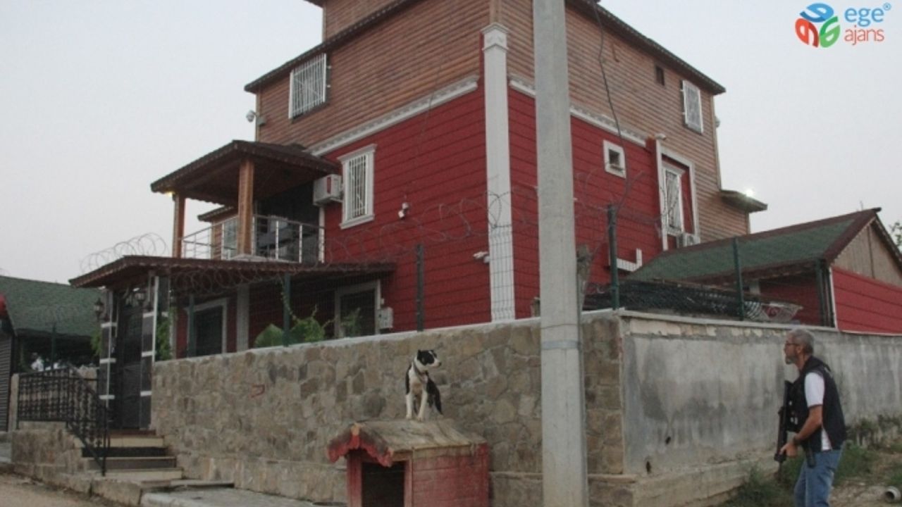 Adana’da pitbullarla korunan şatoya veterinerli polis baskını
