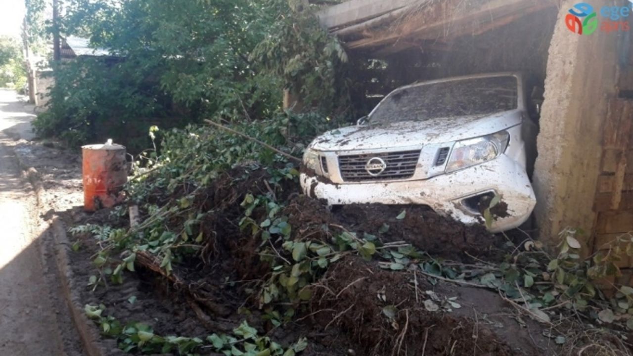 Artvin’de toprak kaymasında 20 hayvan toprak altında kaldı