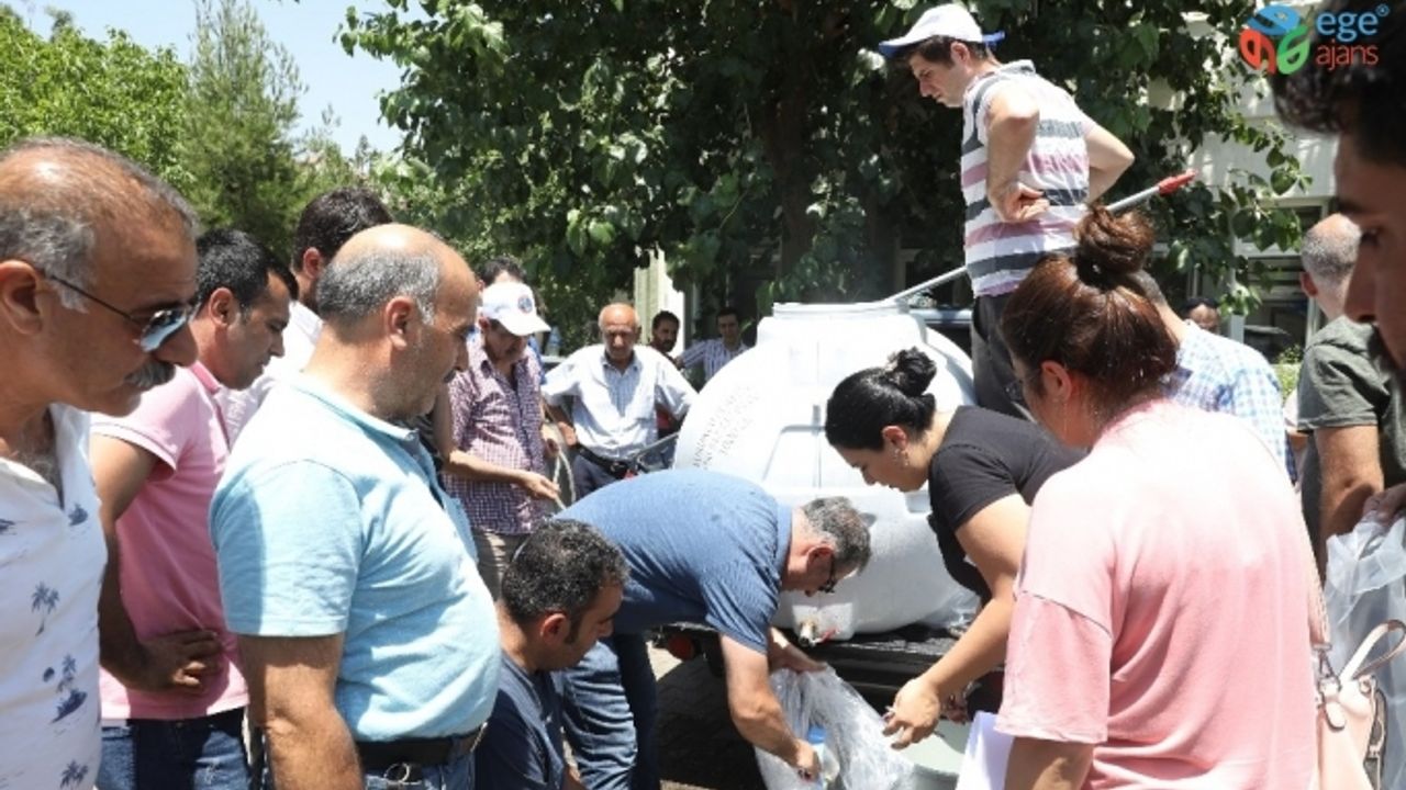 Diyarbakır’daki göletlere 121 bin sazan balığı yavrusu bırakıldı