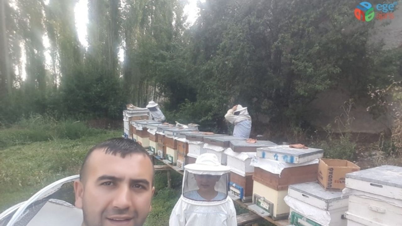 Bal arıları petek üzerinde ay yıldız şekli oluşturdu