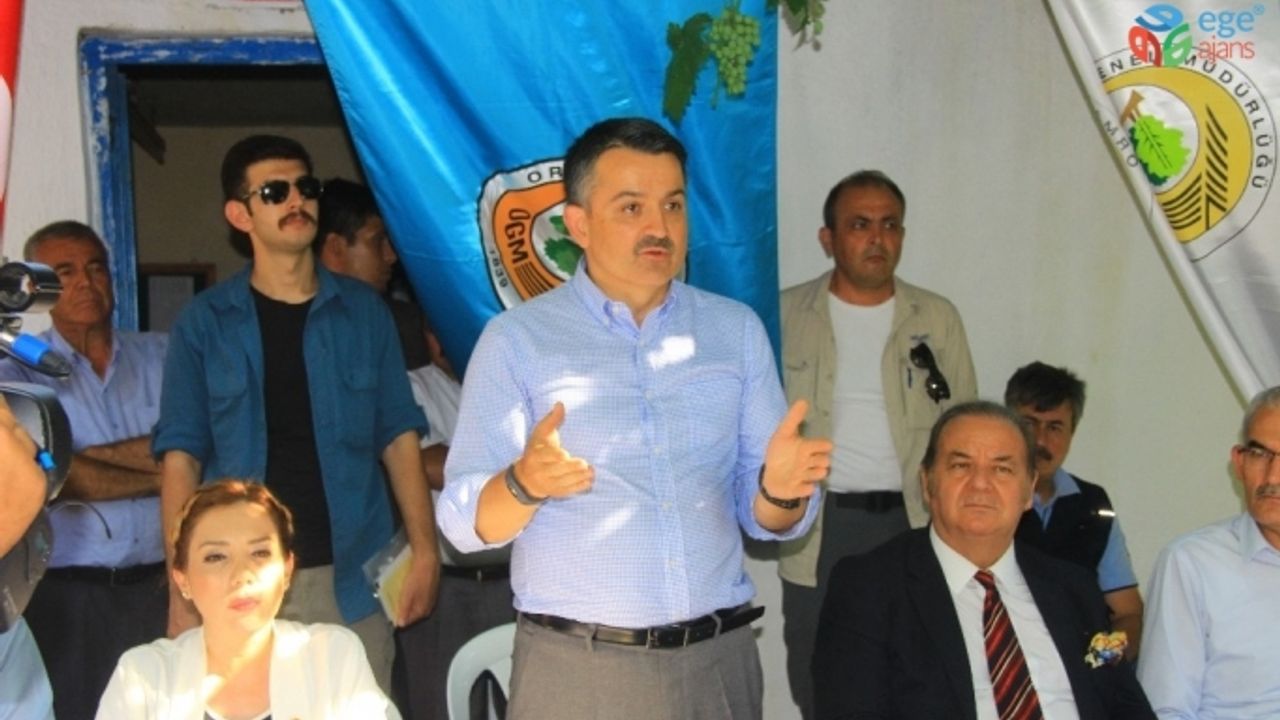Tarım ve Orman Bakanı Pakdemirli: “Yangına ilk müdahaleyi 12 dakikaya düşürdük”