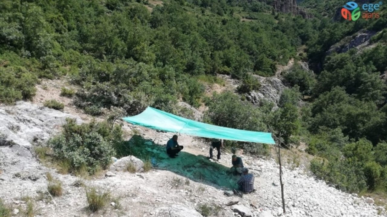 Tavşanlı’da jandarma kaçak kazıya göz açtırmıyor, 9 gözaltı
