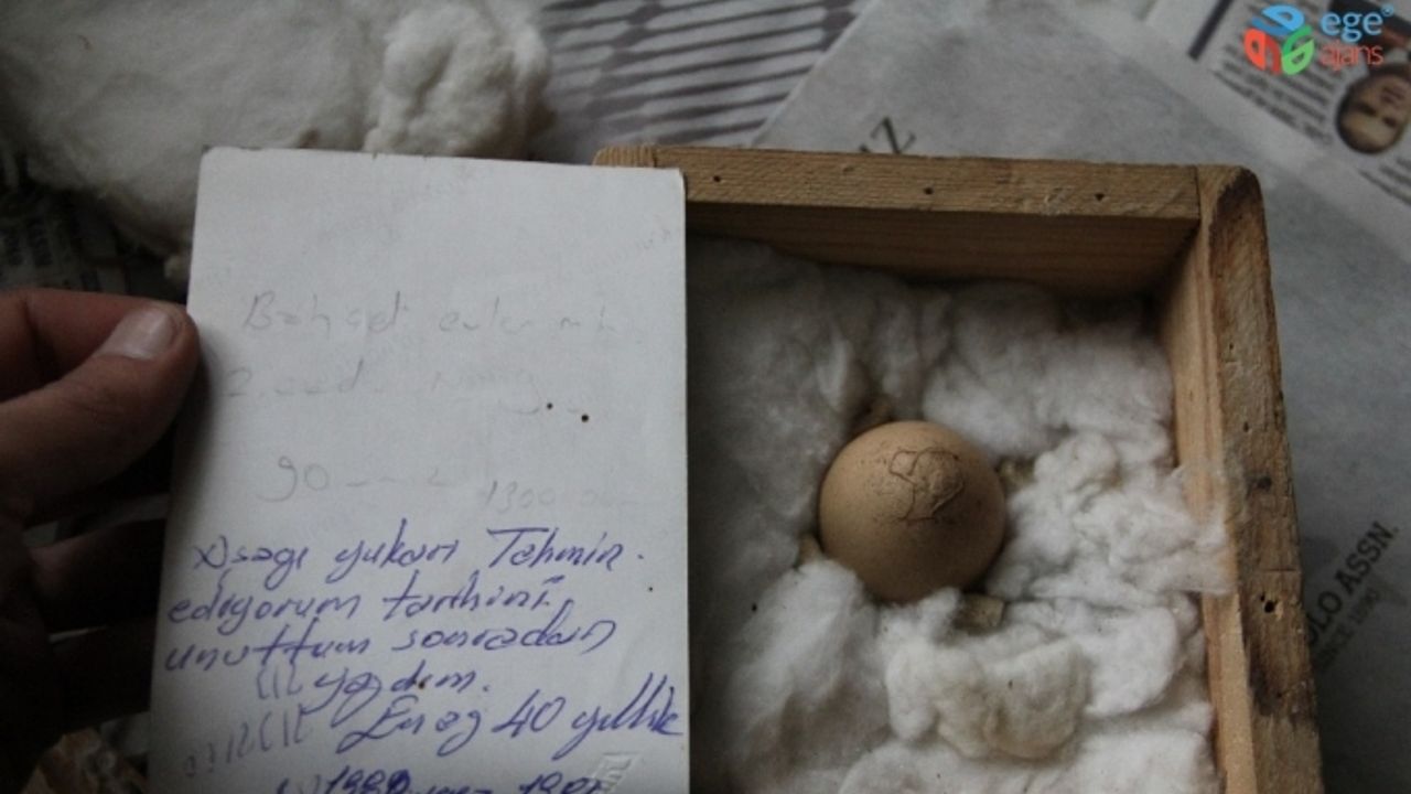 İnsan figürü olduğunu söylediği yumurtayı 40 yıldır saklıyor