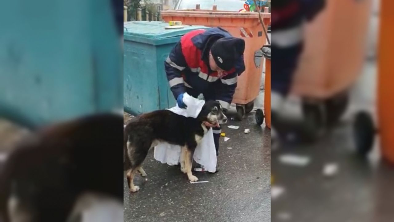 (Özel) Temizlik işçisi yağmurdan ıslanan köpeği kuruladı, içleri ısıttı