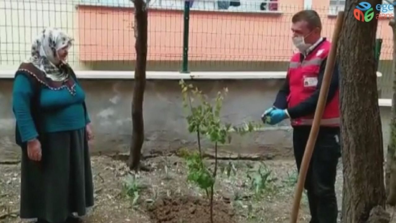 Evinden çıkamayan yaşlı kadın sosyal destek grubundan fidan istedi