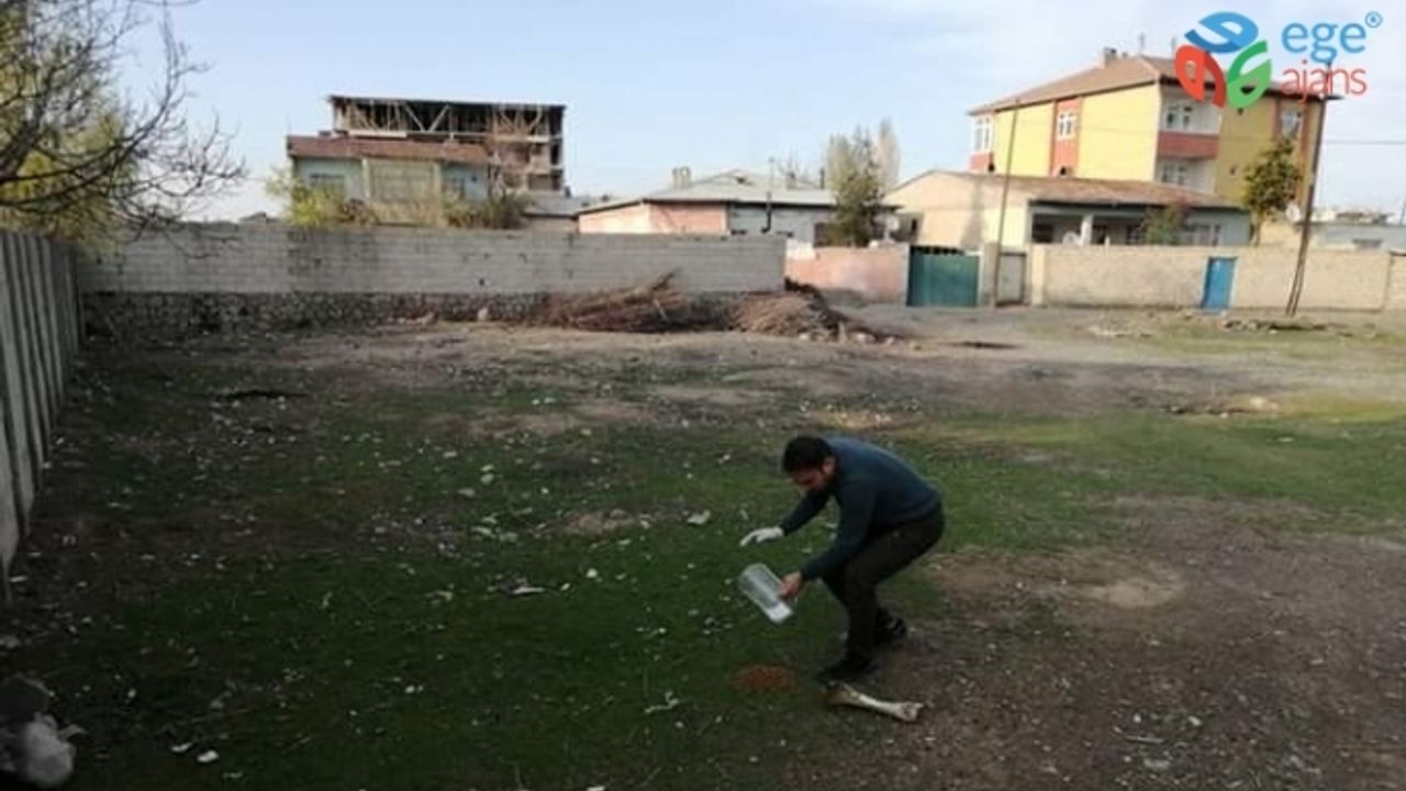 Iğdır’da sokak hayvanları için yem ve su  bırakıldı
