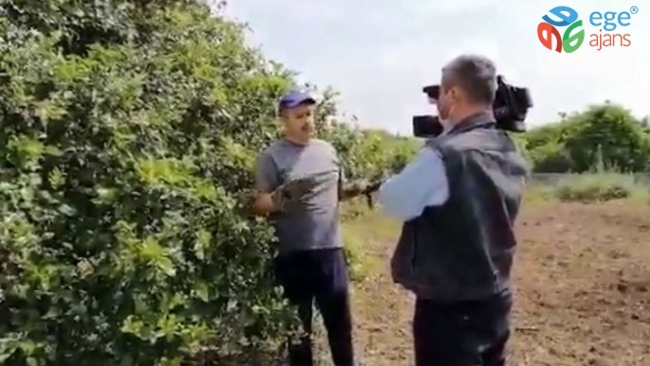 İmamoğlu'na tuzak kurmaya çalışanların kimliği belli oldu