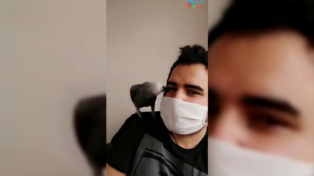 (Özel) Sahibi korona virüse yakalanan papağan Pakize: “Evden çıkma, evde kal”
