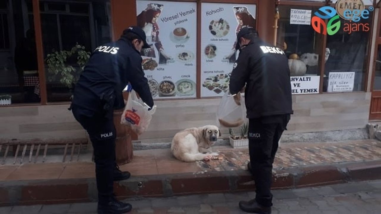 Emet polisi yaşlılara yardım etti, sokak hayvanlarını doyurdu