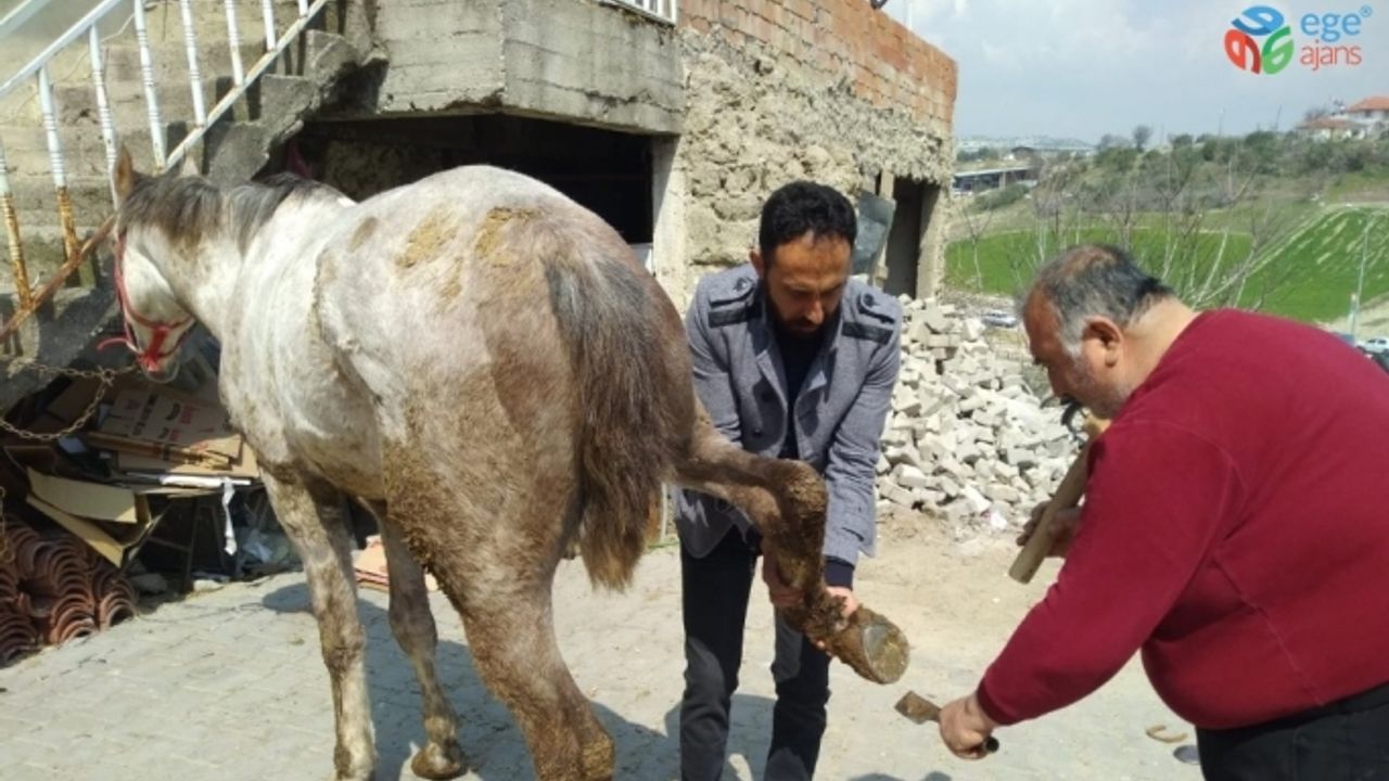 Selendi’nin tek nalbant ustası mesleğini seyyar olarak yapıyor