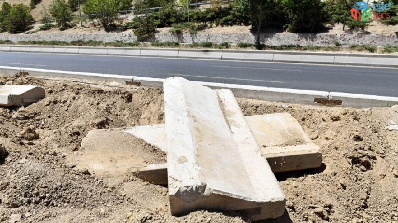 Başkent’te ağaçların kuruma nedeni susuzluk değil altındaki beton