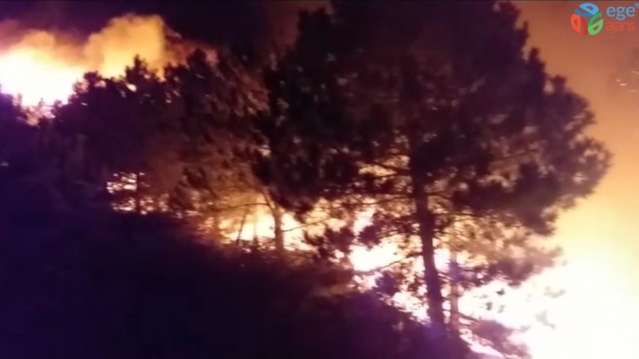 İzmir’deki orman yangını sonrası ağır bilanço: Onlarca hektar ormanlık alan küle döndü