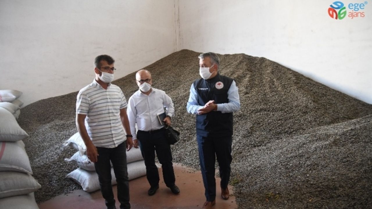 “Kayseri çerezlik ay çekirdeği üretiminde yüzde 16 ile Türkiye’nin ilk sırasında”