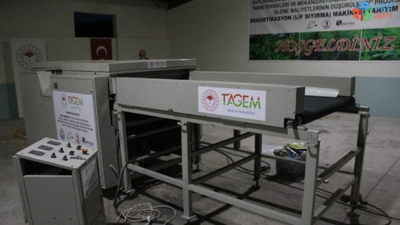 Kenevir, keten ve ısırgan tarımındaki en büyük engel ortadan kalktı