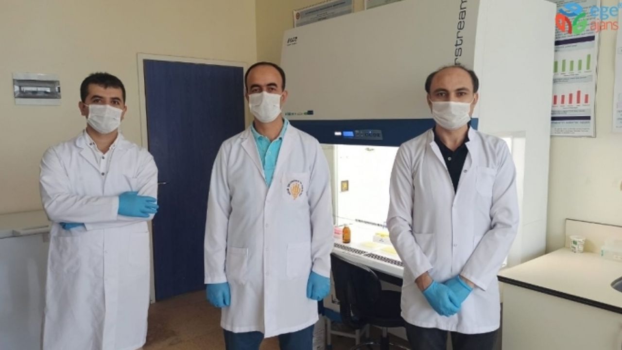 (ÖZEL) Elisa testi ile hem korona virüs hem de antikorun oranı tespit edilebilecek