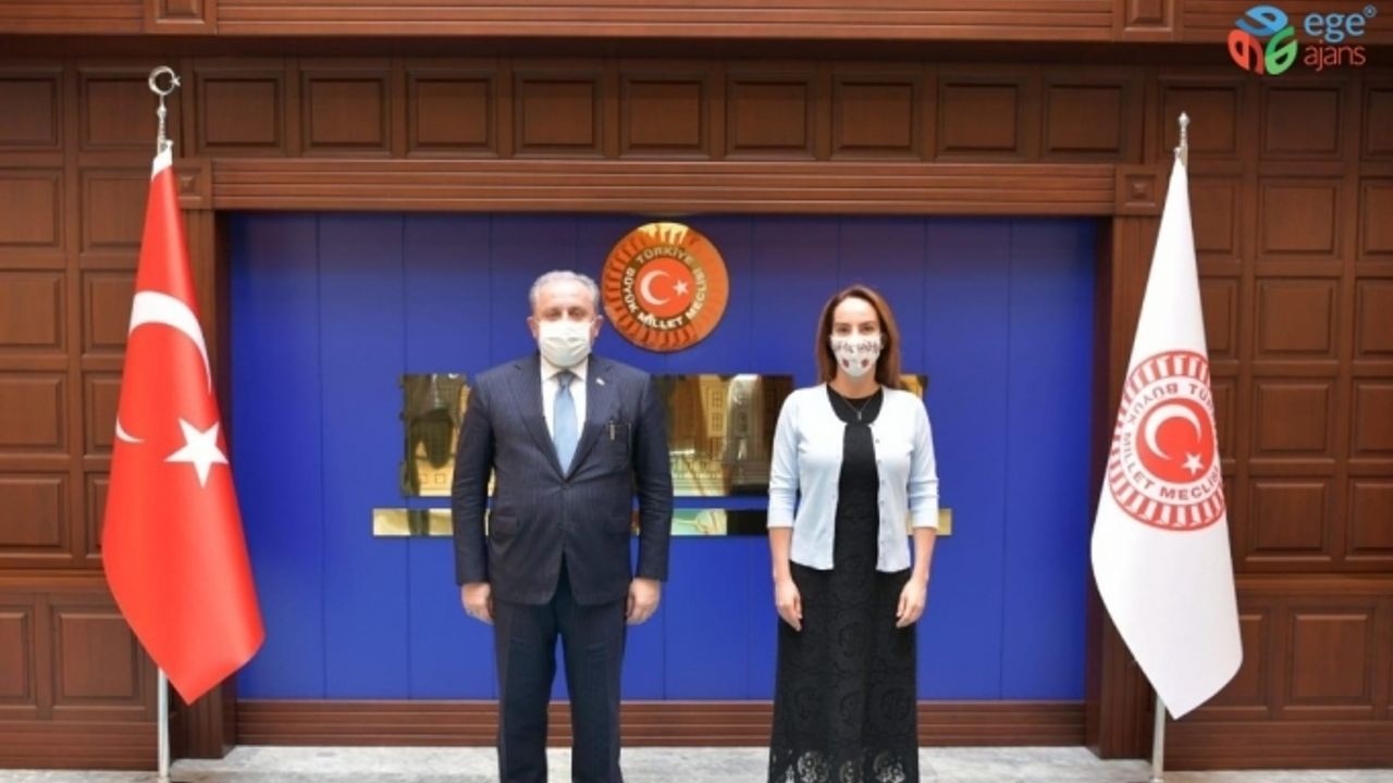 TBMM Başkanı Mustafa Şentop ve Parlamentolararası Birlik Başkanı Gabriela Cuevas Barron bir araya geldi