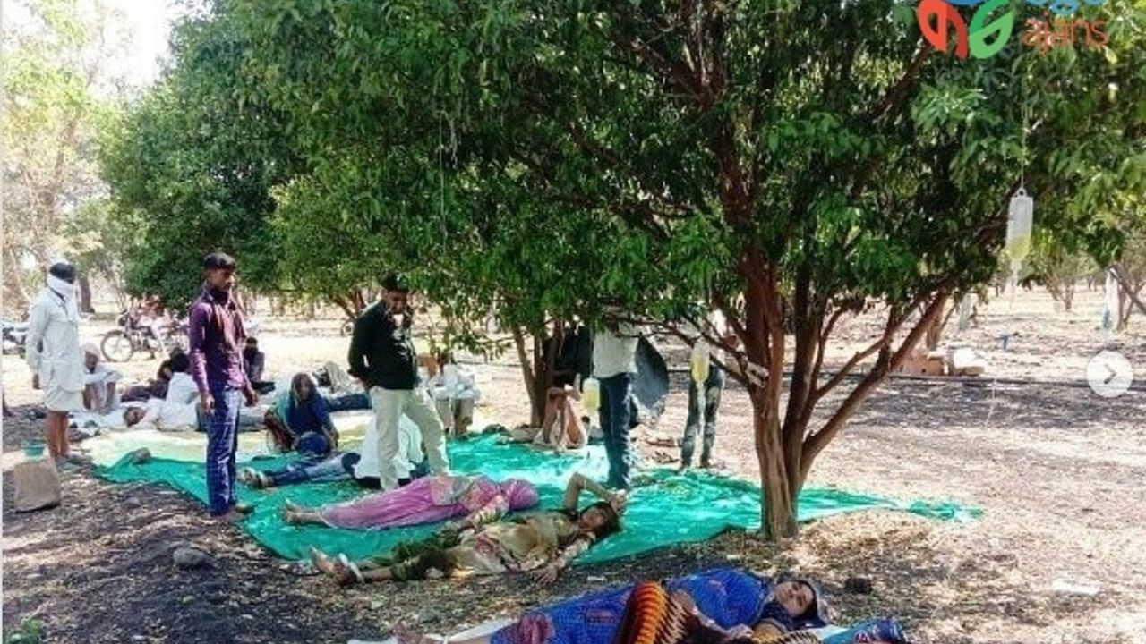 Hindistan’da Covid-19 hastaları portakal bahçelerinde tedavi görüyor