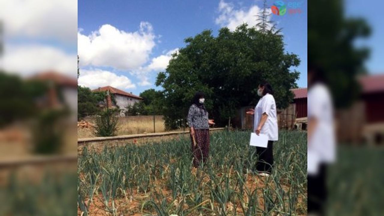 Denizli’de Aile Sağlığı Merkezlerinde BioNTech aşı uygulaması başladı