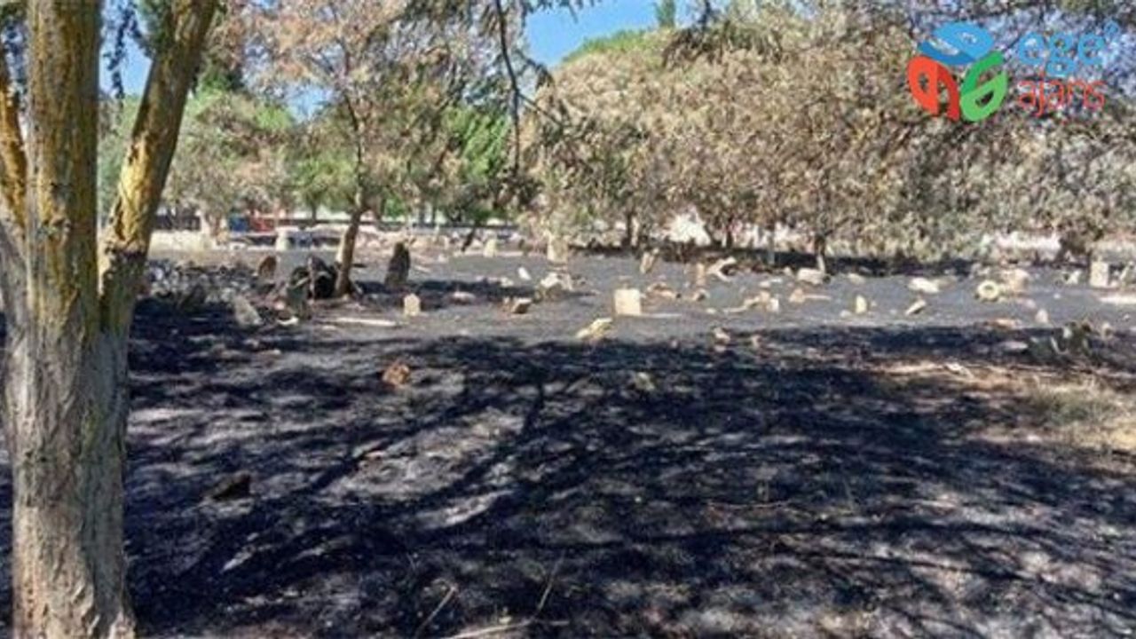 Manisa’da akıllara durgunluk veren olay: Mezarlığı yakarak temizlediler