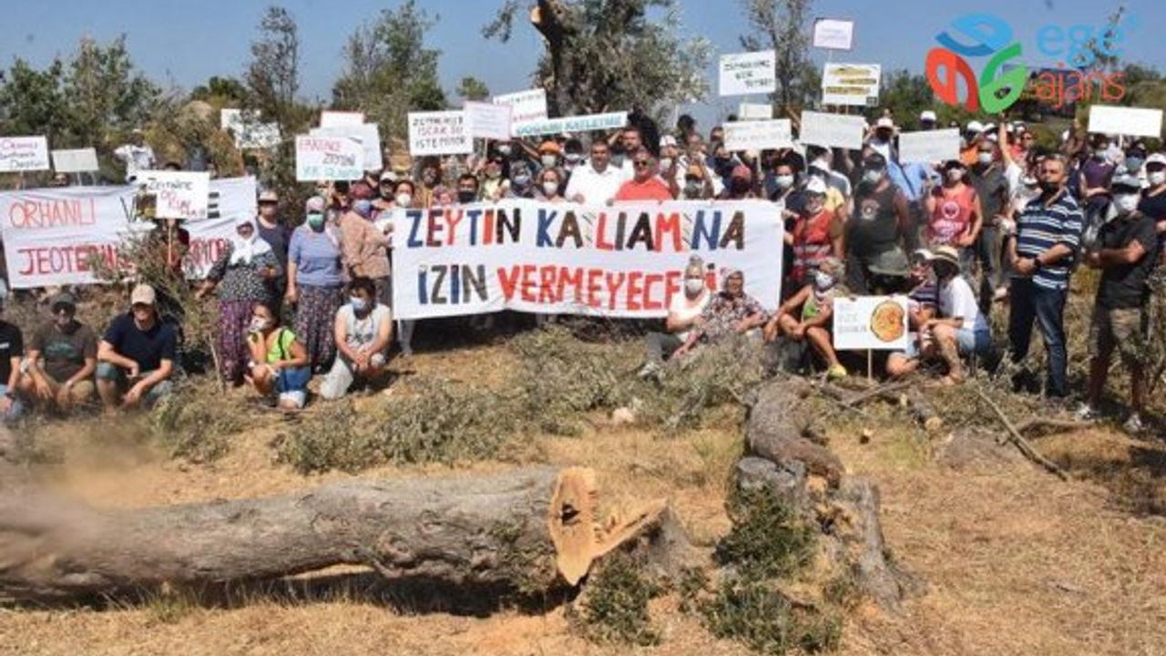 Seferihisar’da  JES İçin Ağaç Kesimine Büyük Tepki