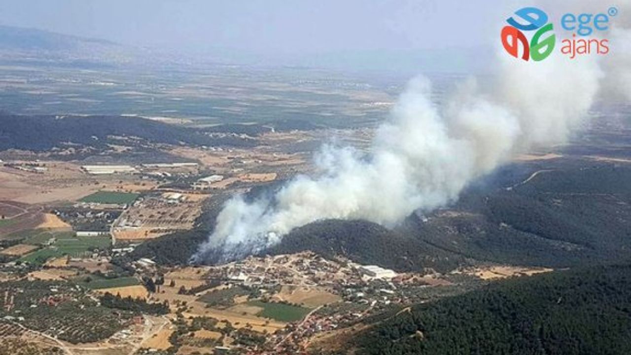 Son dakika: İzmir Foça'da ormanlık alanda yangın çıktı