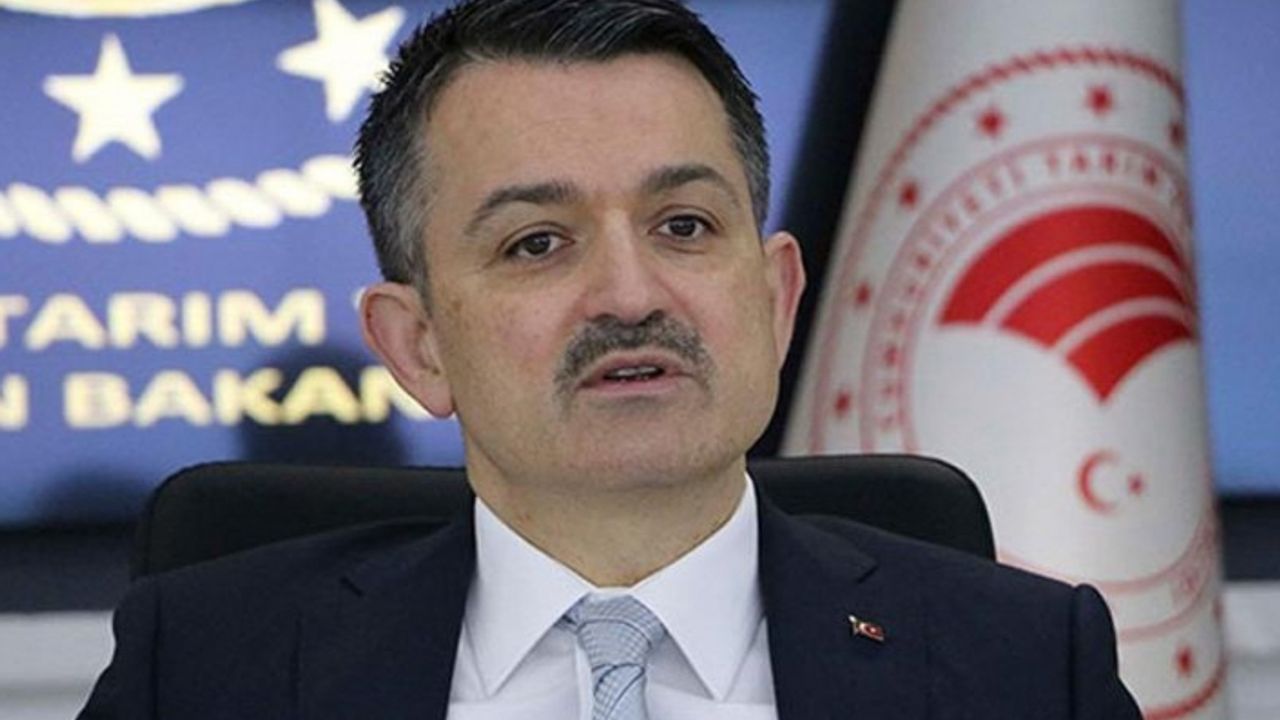Bakan Pakdemirli açıkladı: İzmir'de 12 milyon 775 bin fidan dikilecek