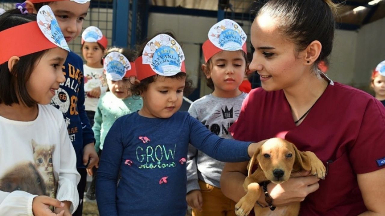 İzmir’de sokak hayvanları için büyük işbirliği