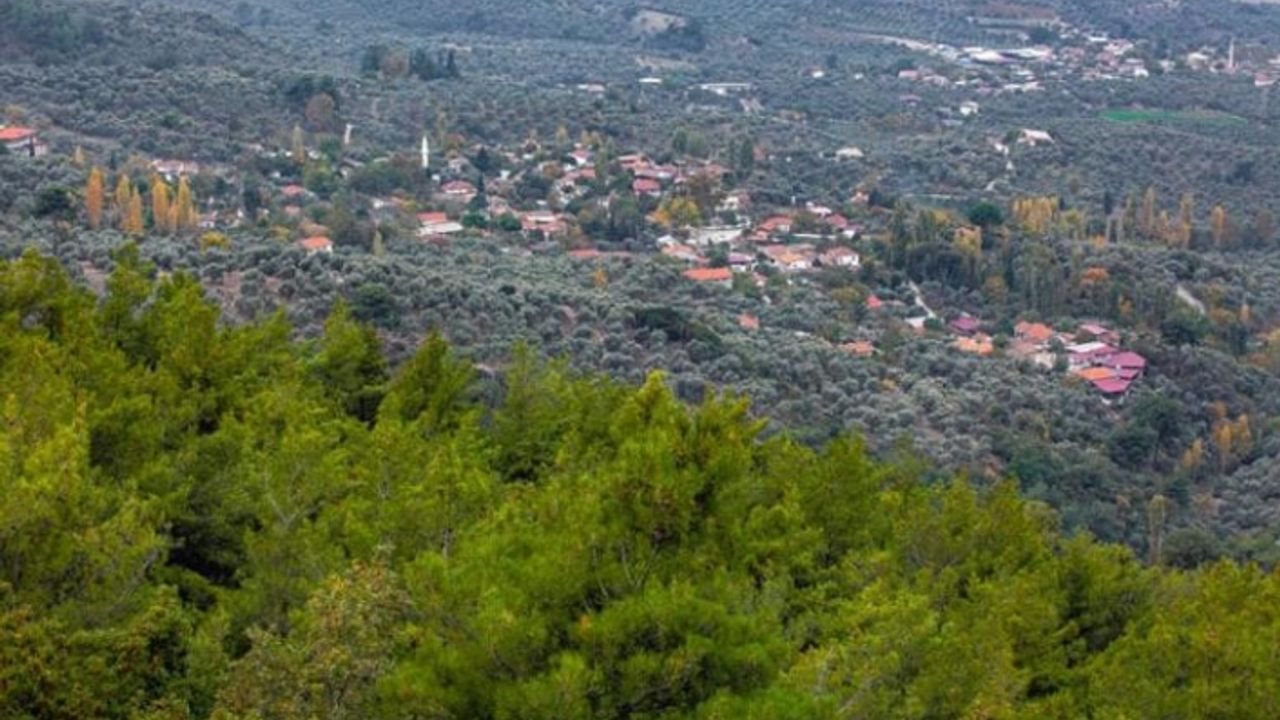 İzmir’in ‘ciğerlerine’ maden ocağı tehdidi: ‘İki köy haritadan silinecek’