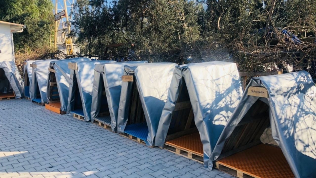 Bornova Belediyesi ile hayvanseverler can dostları için el ele verdi