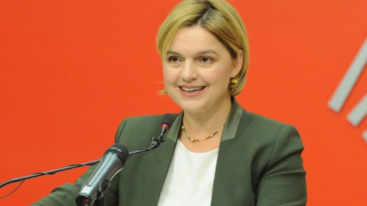 CHP'li Böke'ye Avrupa Konseyi'nde yeni görev