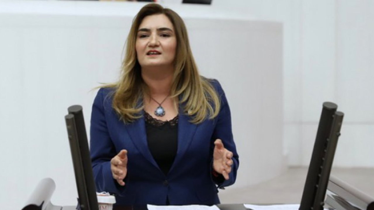 CHP'li Kılıç o projeye ayrılan bütçeyi eleştirdi: Komik bir rakam
