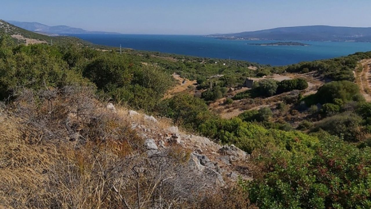 CHP'li Kılıç'tan 'taş ocağı projesi'ne sert tepki: Zeytinliklerin katledilmesine izin vermeyeceğiz