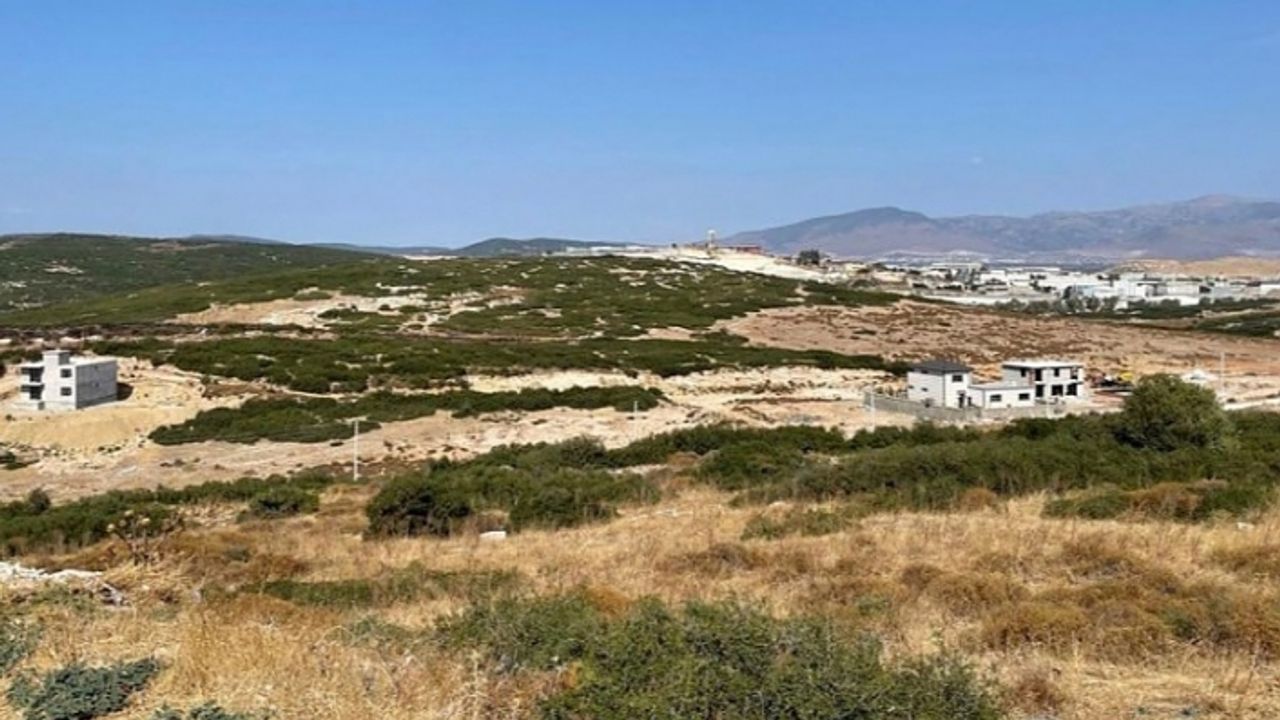 ‘Seyrek satışında’ flaş gelişme: Belediyeye mahkemeden bir engel daha