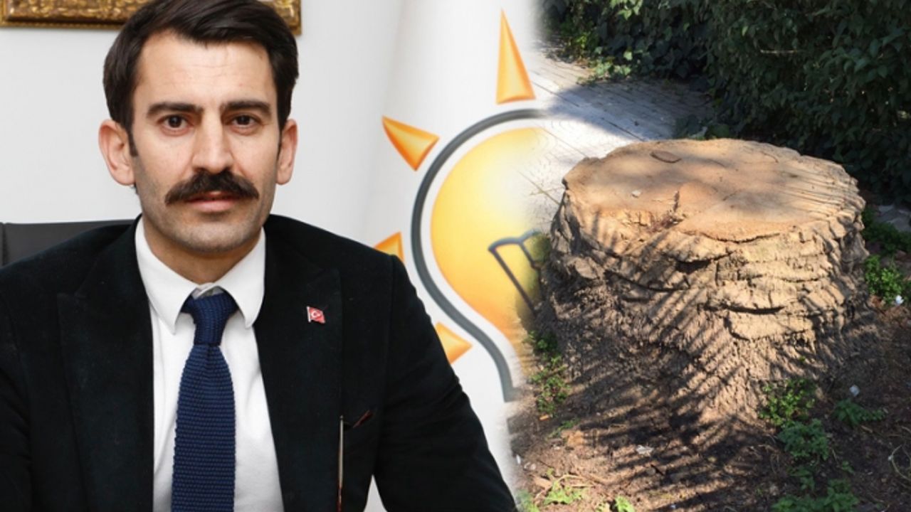 AK Parti'den Büyükşehir'e ağaç kesimi tepkisi