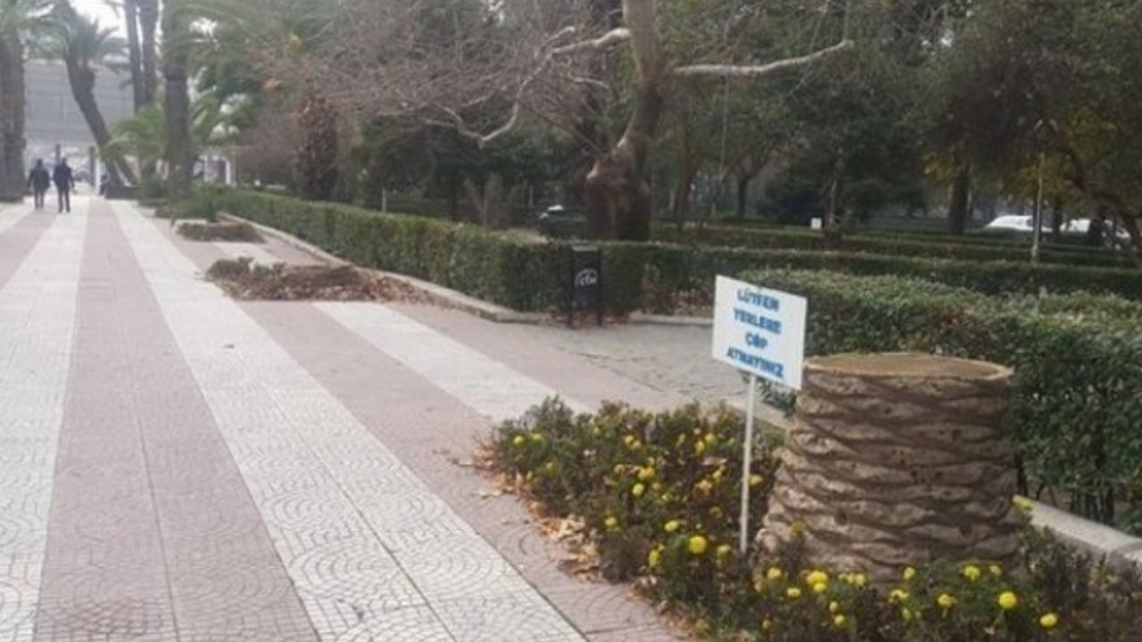 Kültürpark'ta 15 palmiye ağacı kesildi... Büyükşehir'e tepki!