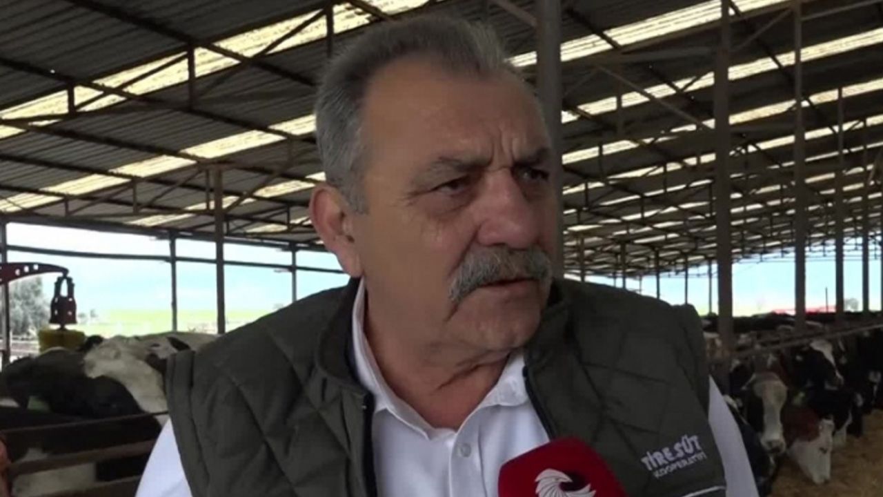 Tire Süt Kooperatifi Başkanı'ndan 'yem' uyarısı: Eğer hammaddeyi alamazsak...