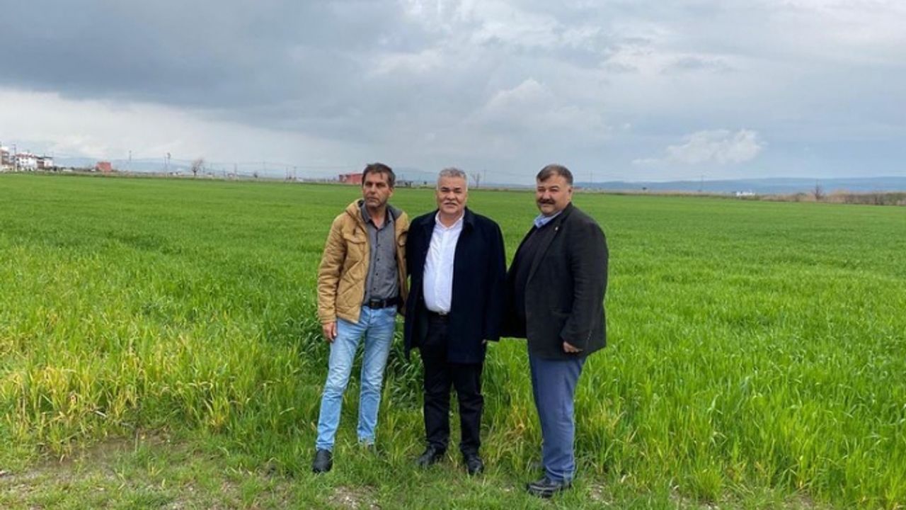 Torbalı Belediyesi tarlalarına buğday ekti
