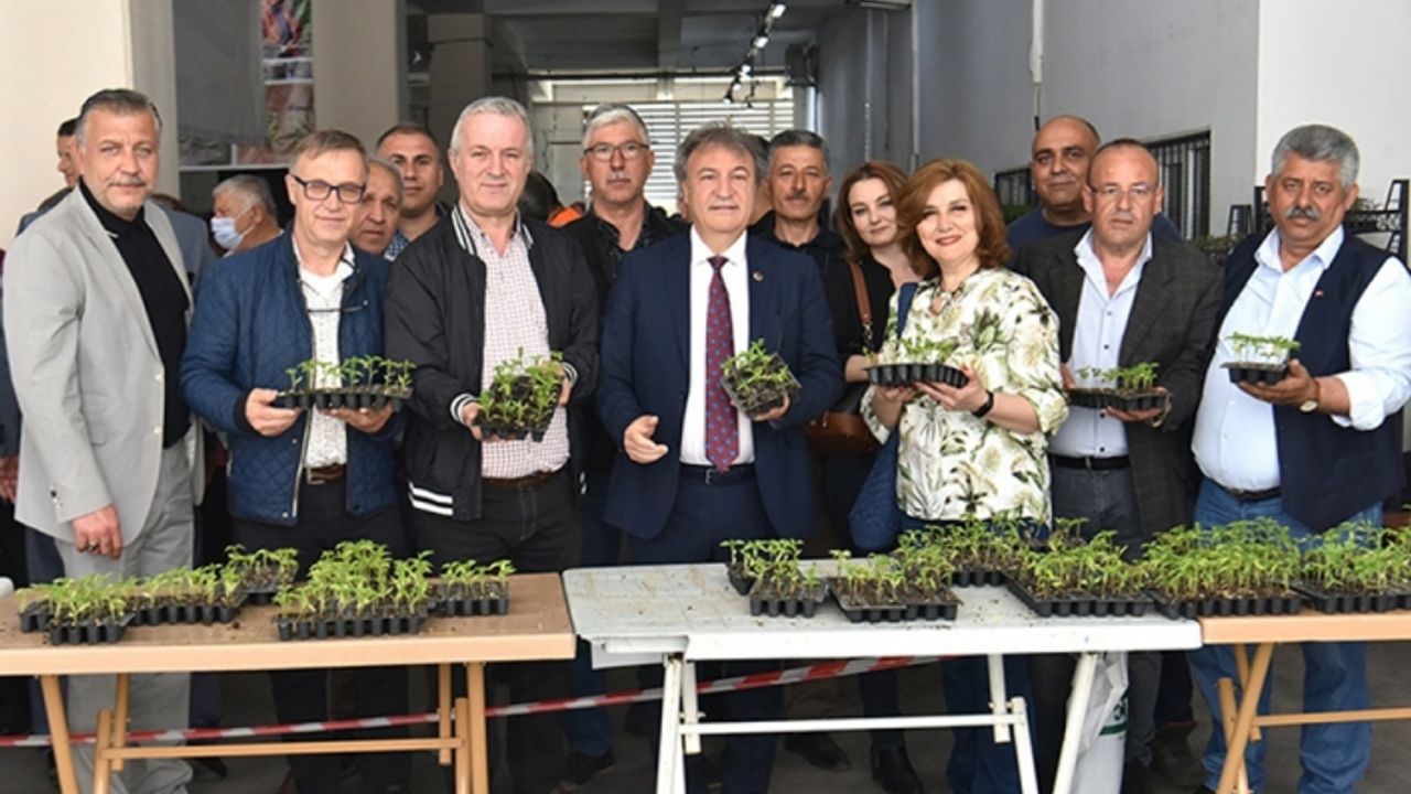 Bornova’da üreticiye 350 bin fide
