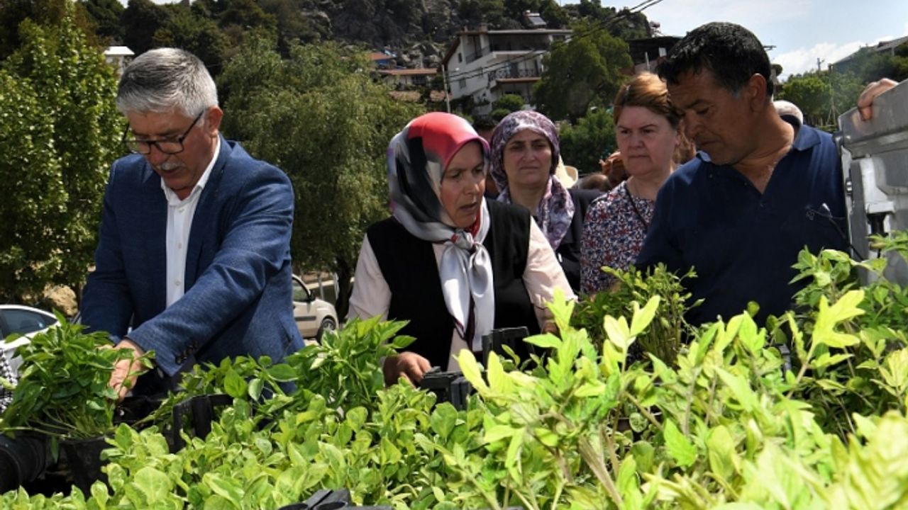 Bornova'da tarıma 4,5 milyon 'Atalık destek'