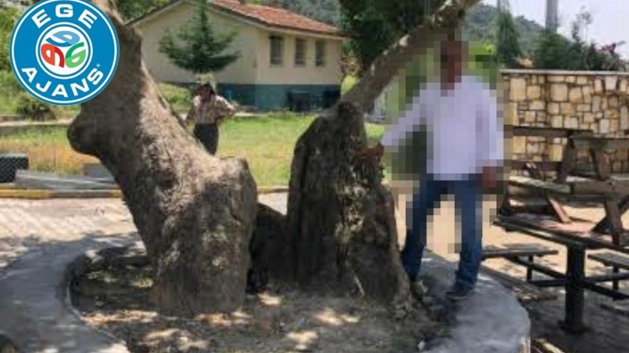 PARSEL PARSEL KÖYÜNÜ SATAN MUHTAR KİM? 