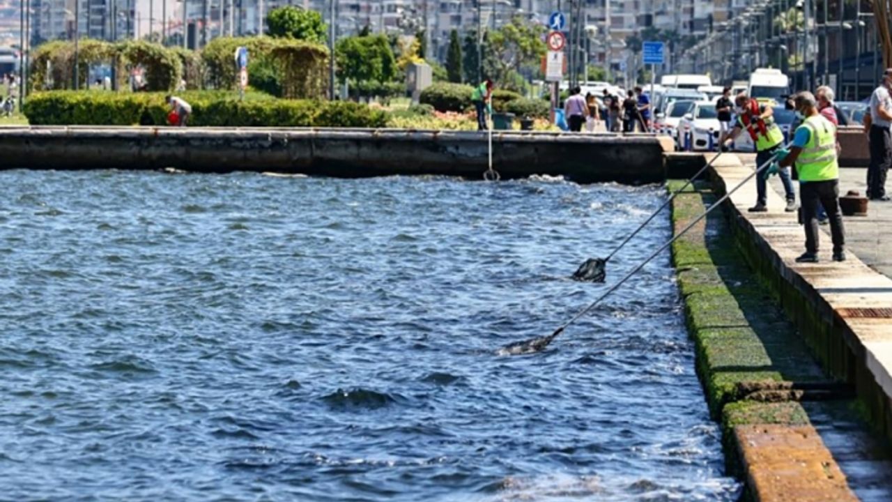 Büyükşehir'den körfez ve atıklar için yeni adım