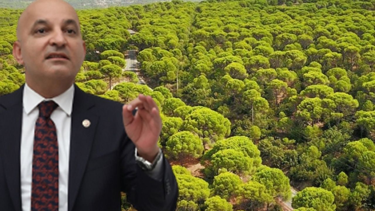 CHP'li Polat'tan 'Kozak Yaylası' mesajı: Bakanlık talana göz yummamalı!