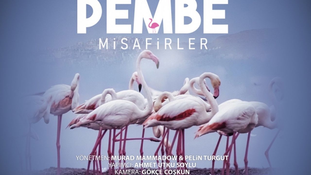 Çiğli’nin Pembe Misafirleri 10 festivalde ödüle aday