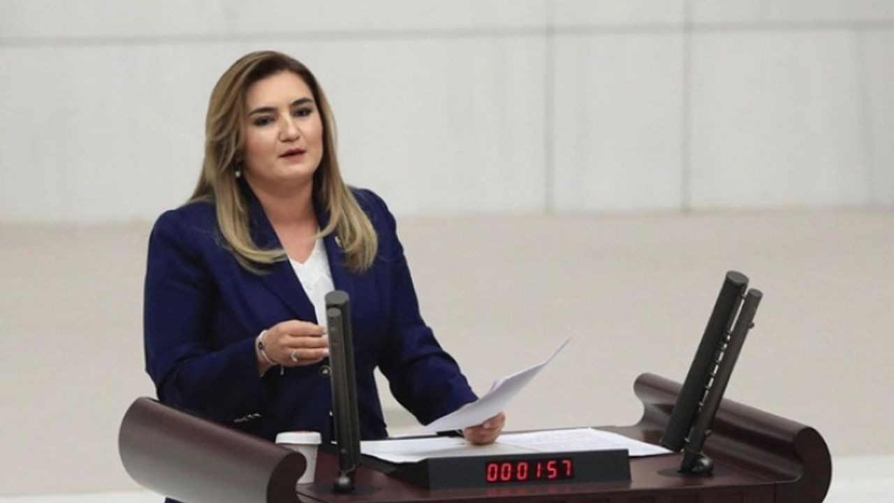Erdoğan'ın o sözüne ilk suç duyurusu CHP'li Kılıç'tan