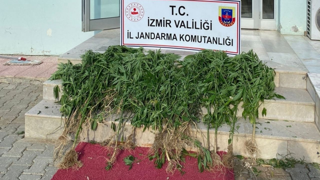 İzmir'de 11 ilçede uyuşturucu operasyonu