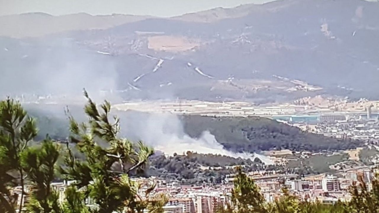 İzmir'de ağaçlık alanda yangın kontrol altında