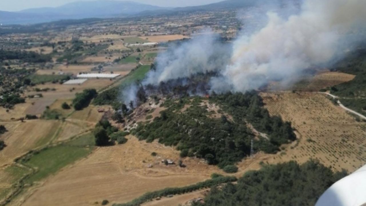 Urla'da çıkan orman yangını kontrol altına alındı