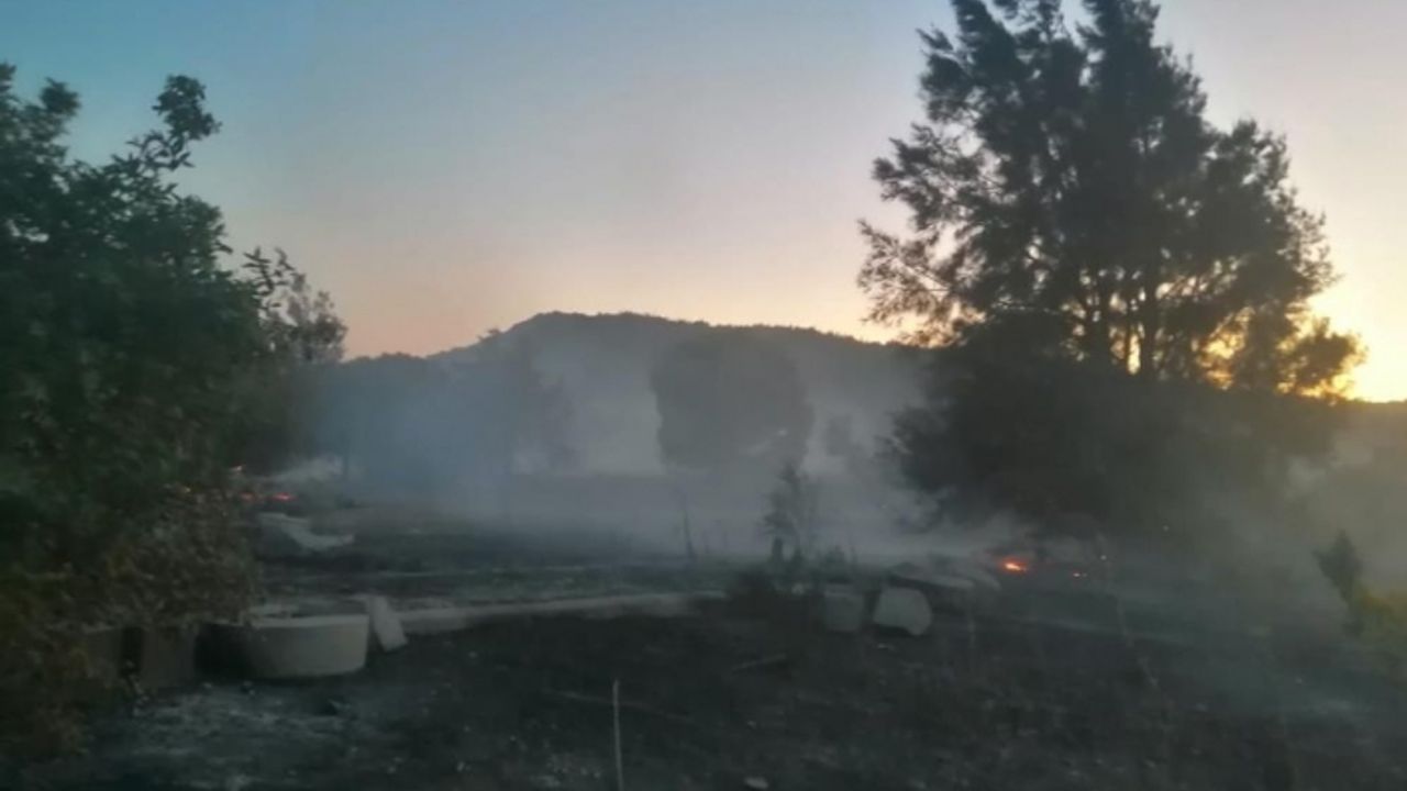 Aliağa’da ormanı “keyfi” için yakan şüpheli tutuklandı