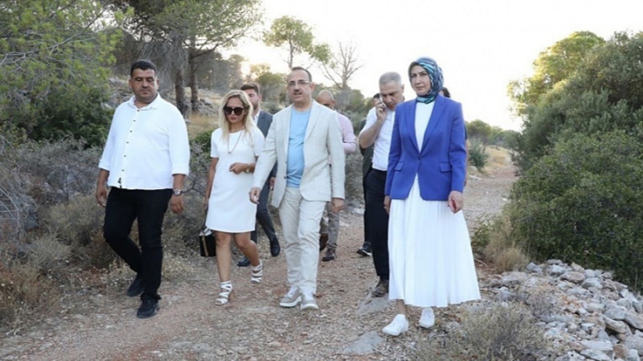 Başkan Sürekli: Orman yangınları siyasete malzeme edilmemeli